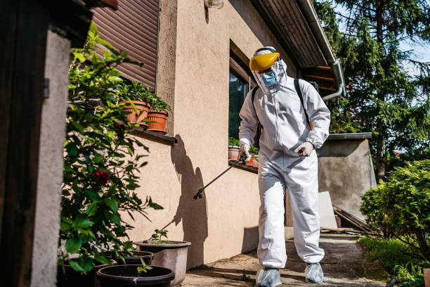 Best Wasp Removal Services  in Cranston, RI