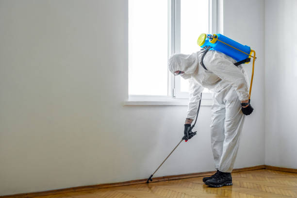 Best Pest Prevention Services  in Cranston, RI