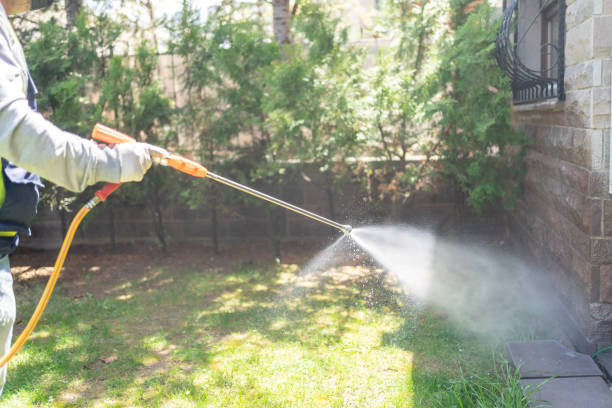 Reliable Cranston, RI Pest Control Solutions