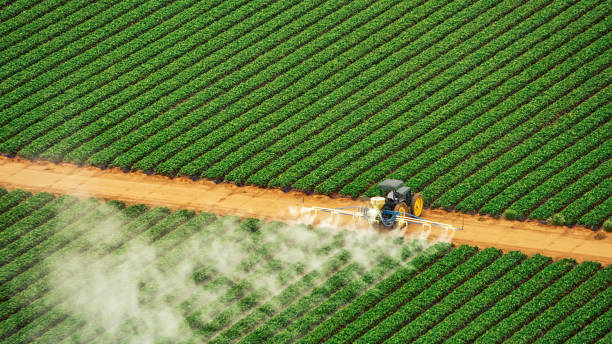 Best Mosquito Control Services  in Cranston, RI