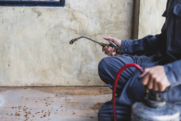 Best Pest Removal Services  in Cranston, RI