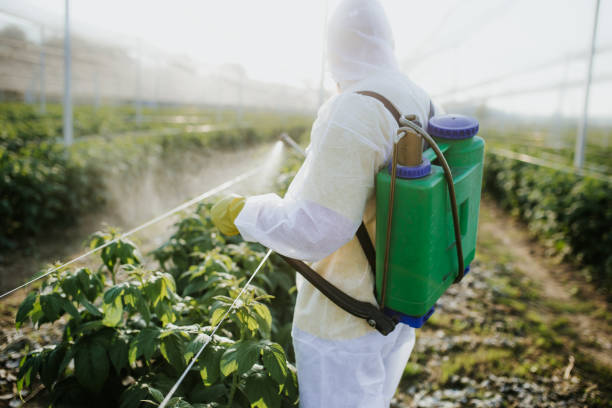 Best Pest Inspection Near Me  in Cranston, RI